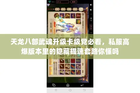 天龙八部武魂升级卡级党必看，私服高爆版本里的隐藏提速套路你懂吗
