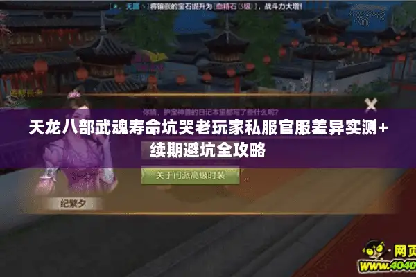 天龙八部武魂寿命坑哭老玩家私服官服差异实测+续期避坑全攻略 天龙八部武魂寿命坑哭老玩家私服官服差异实测+续期避坑全攻略