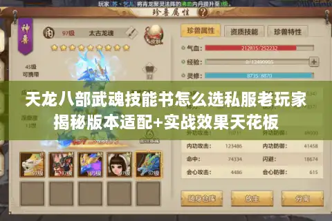 天龙八部武魂技能书怎么选私服老玩家揭秘版本适配+实战效果天花板