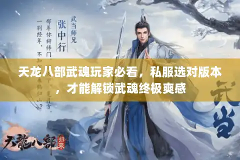 天龙八部武魂玩家必看,私服选对版本,才能解锁武魂终极爽感 天龙八部武魂玩家必看,私服选对版本,才能解锁武魂终极爽感