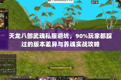天龙八部武魂私服避坑，90%玩家都踩过的版本差异与养魂实战攻略