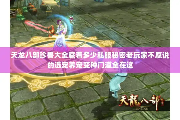 天龙八部珍兽大全藏着多少私服秘密老玩家不愿说的选宠养宠变种门道全在这