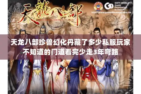 天龙八部珍兽幻化丹藏了多少私服玩家不知道的门道看完少走3年弯路