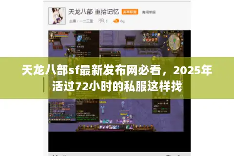 天龙八部sf最新发布网必看，2025年活过72小时的私服这样找