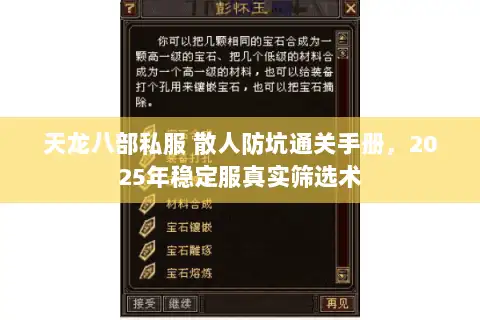 天龙八部私服 散人防坑通关手册，2025年稳定服真实筛选术