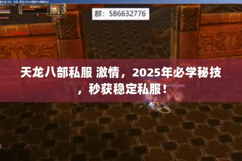 天龙八部私服 激情，2025年必学秘技，秒获稳定私服！