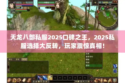 天龙八部私服2025口碑之王，2025私服选择大反转，玩家震惊真相！