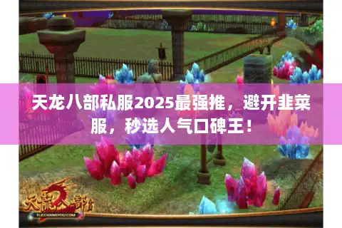 天龙八部私服2025最强推,避开韭菜服,秒选人气口碑王! 天龙八部私服2025最强推,避开韭菜服,秒选人气口碑王!