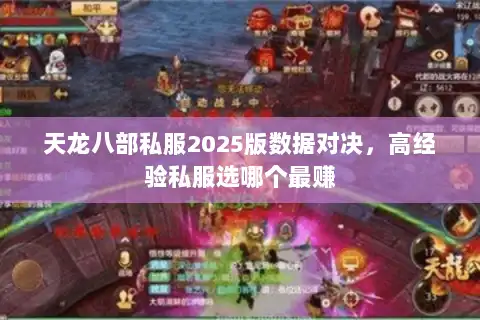 天龙八部私服2025版数据对决，高经验私服选哪个最赚