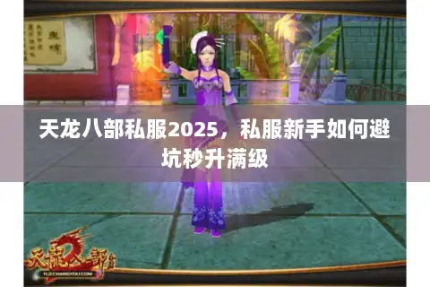天龙八部私服2025，私服新手如何避坑秒升满级