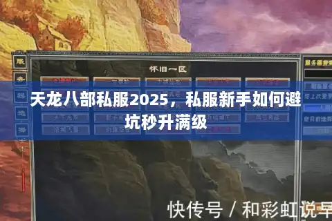 天龙八部私服2025，私服新手如何避坑秒升满级