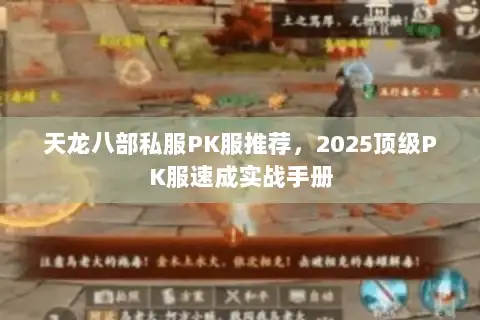 天龙八部私服PK服推荐，2025顶级PK服速成实战手册