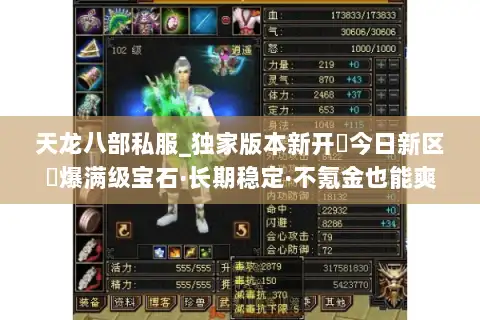 天龙八部私服_独家版本新开▷今日新区◁爆满级宝石·长期稳定·不氪金也能爽玩