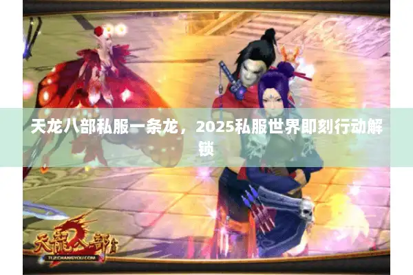 天龙八部私服一条龙,2025私服世界即刻行动解锁 天龙八部私服一条龙,2025私服世界即刻行动解锁