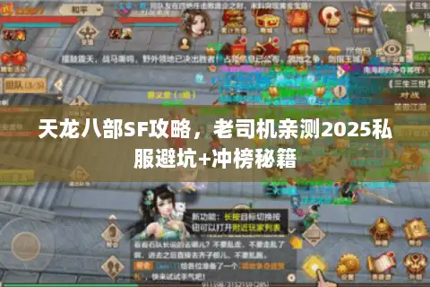天龙八部SF攻略，老司机亲测2025私服避坑+冲榜秘籍