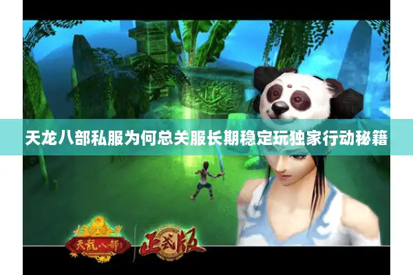 天龙八部私服为何总关服长期稳定玩独家行动秘籍