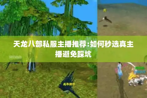 天龙八部私服主播推荐:如何秒选真主播避免踩坑