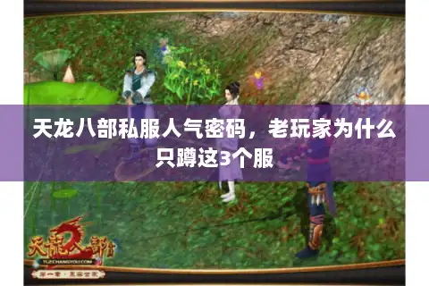 天龙八部私服人气密码，老玩家为什么只蹲这3个服