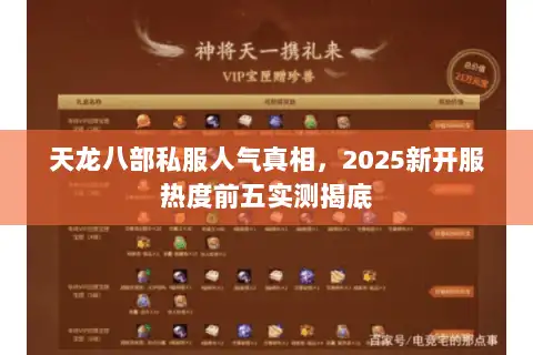 天龙八部私服人气真相，2025新开服热度前五实测揭底