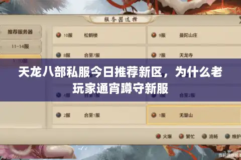 天龙八部私服今日推荐新区，为什么老玩家通宵蹲守新服