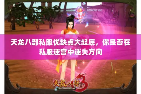 天龙八部私服优缺点大起底，你是否在私服迷宫中迷失方向