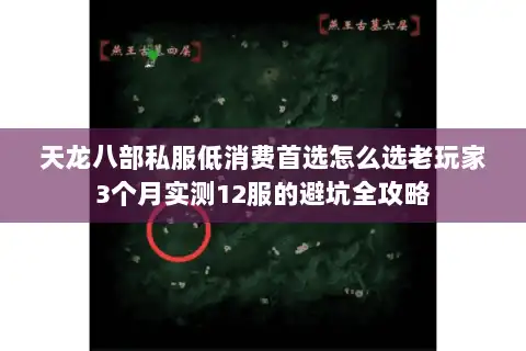 天龙八部私服低消费首选怎么选老玩家3个月实测12服的避坑全攻略