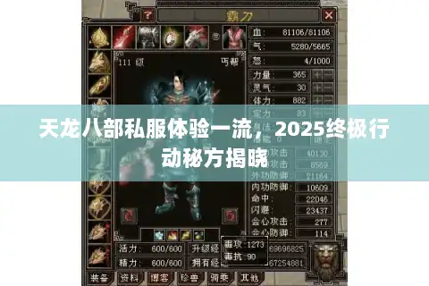 天龙八部私服体验一流，2025终极行动秘方揭晓