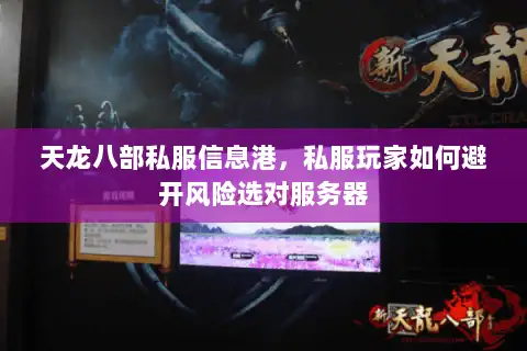 天龙八部私服信息港，私服玩家如何避开风险选对服务器