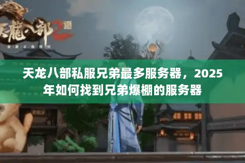 天龙八部私服兄弟最多服务器，2025年如何找到兄弟爆棚的服务器