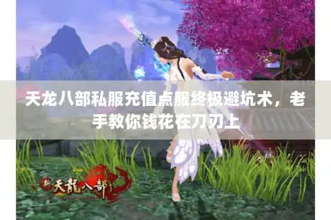 天龙八部私服充值点服终极避坑术，老手教你钱花在刀刃上