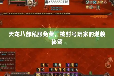 天龙八部私服免费，被封号玩家的逆袭秘笈