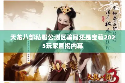 天龙八部私服公测区骗局还是宝藏2025玩家直揭内幕
