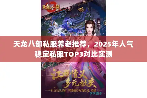 天龙八部私服养老推荐,2025年人气稳定私服TOP3对比实测 天龙八部私服养老推荐,2025年人气稳定私服TOP3对比实测