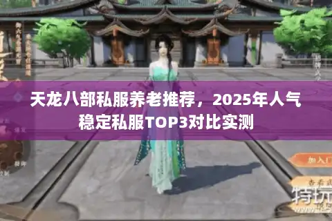天龙八部私服养老推荐,2025年人气稳定私服TOP3对比实测 天龙八部私服养老推荐,2025年人气稳定私服TOP3对比实测
