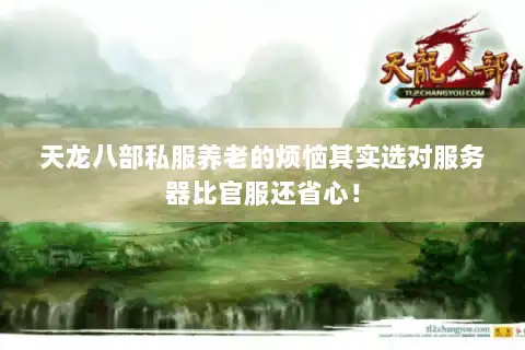 天龙八部私服养老的烦恼其实选对服务器比官服还省心！