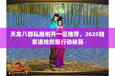 天龙八部私服刚开一区推荐，2025独家速抢新服行动秘籍