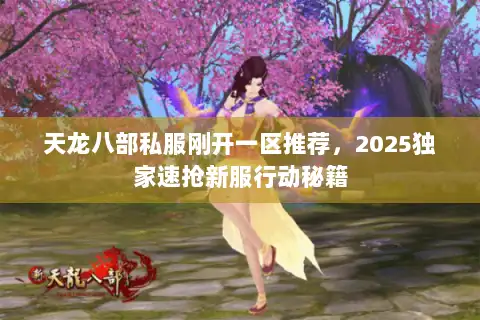 天龙八部私服刚开一区推荐，2025独家速抢新服行动秘籍