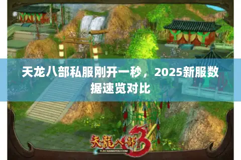 天龙八部私服刚开一秒，2025新服数据速览对比