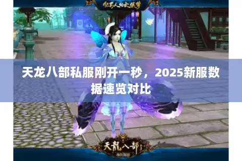 天龙八部私服刚开一秒，2025新服数据速览对比