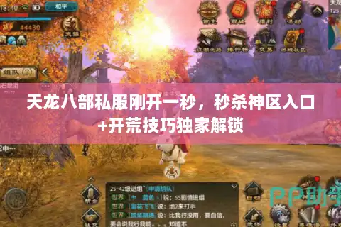 天龙八部私服刚开一秒,秒杀神区入口+开荒技巧独家解锁 天龙八部私服刚开一秒,秒杀神区入口+开荒技巧独家解锁