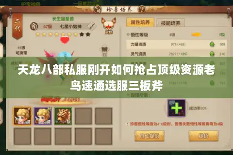 天龙八部私服刚开如何抢占顶级资源老鸟速通选服三板斧