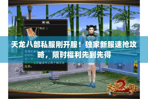天龙八部私服刚开服！独家新服速抢攻略，限时福利先到先得