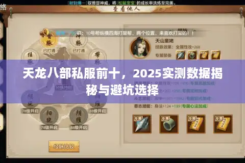 天龙八部私服前十,2025实测数据揭秘与避坑选择 天龙八部私服前十,2025实测数据揭秘与避坑选择