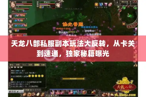 天龙八部私服副本玩法大反转,从卡关到速通,独家秘籍曝光 天龙八部私服副本玩法大反转,从卡关到速通,独家秘籍曝光