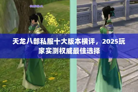 天龙八部私服十大版本横评，2025玩家实测权威最佳选择