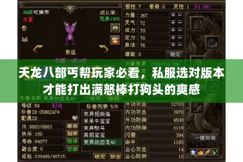 天龙八部丐帮玩家必看，私服选对版本才能打出满怒棒打狗头的爽感