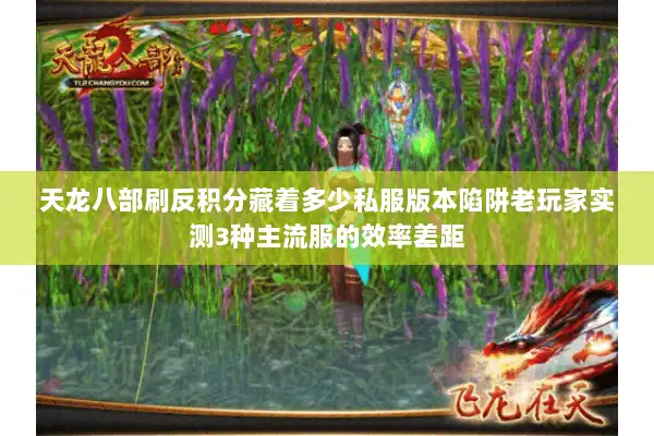天龙八部刷反积分藏着多少私服版本陷阱老玩家实测3种主流服的效率差距