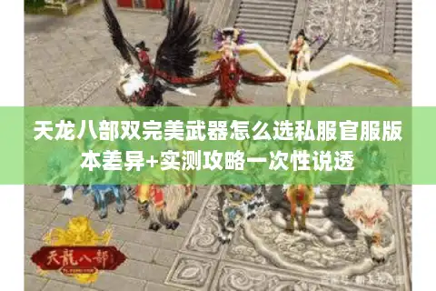 天龙八部双完美武器怎么选私服官服版本差异+实测攻略一次性说透