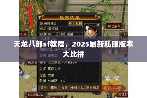 天龙八部sf教程，2025最新私服版本大比拼