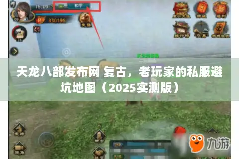 天龙八部发布网 复古，老玩家的私服避坑地图（2025实测版）